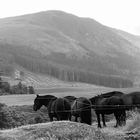 Tatil Evi Parkside Mews *